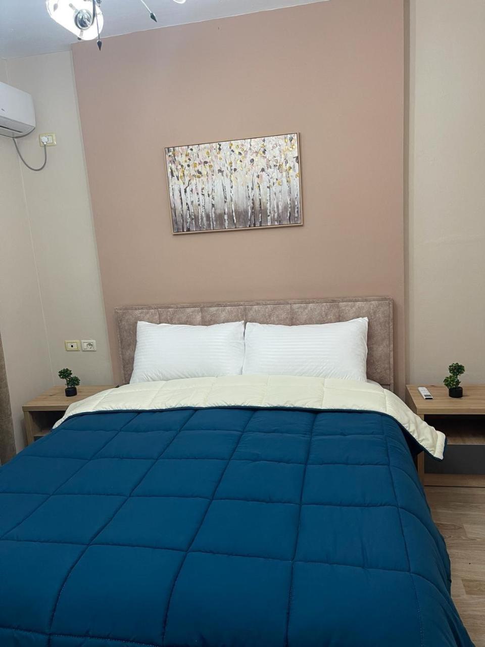Comfort Apartment City Center ติรานา ภายนอก รูปภาพ